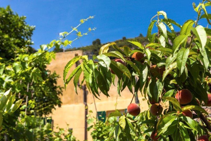 Agriturismo La Selva Hotell Finale Ligure Eksteriør bilde
