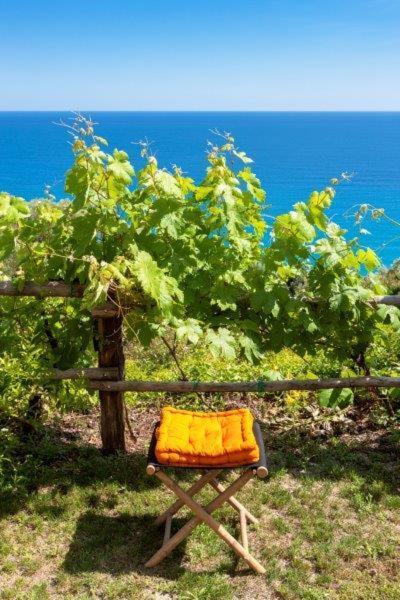 Agriturismo La Selva Hotell Finale Ligure Eksteriør bilde