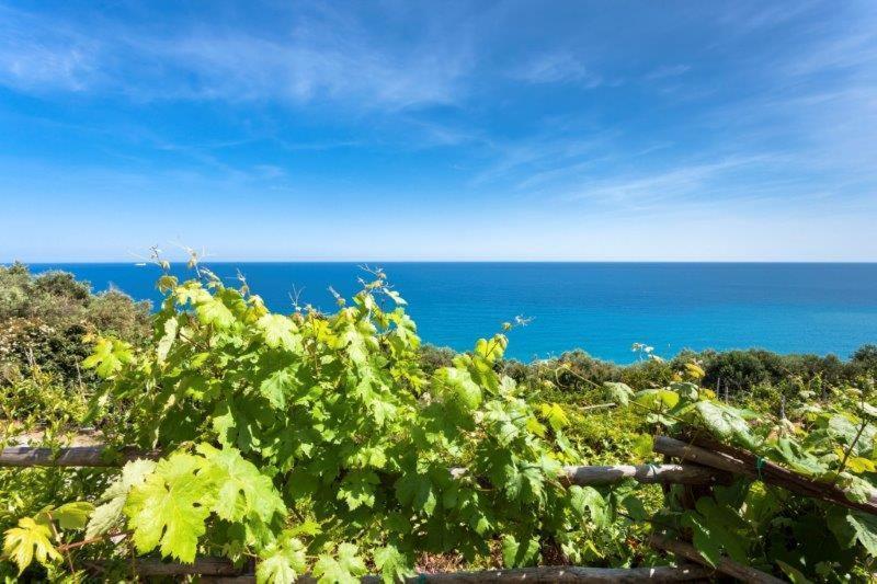 Agriturismo La Selva Hotell Finale Ligure Eksteriør bilde