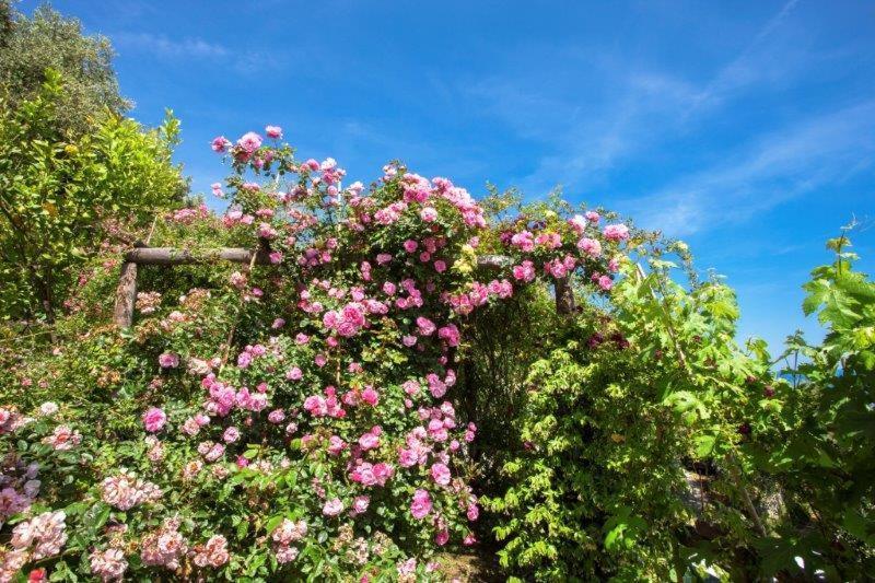 Agriturismo La Selva Hotell Finale Ligure Eksteriør bilde