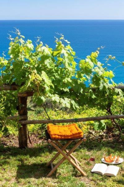 Agriturismo La Selva Hotell Finale Ligure Eksteriør bilde