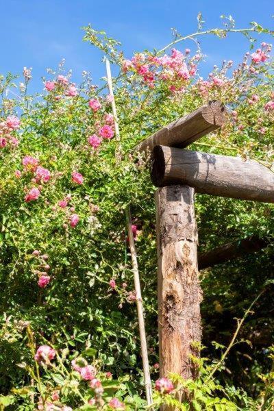 Agriturismo La Selva Hotell Finale Ligure Eksteriør bilde