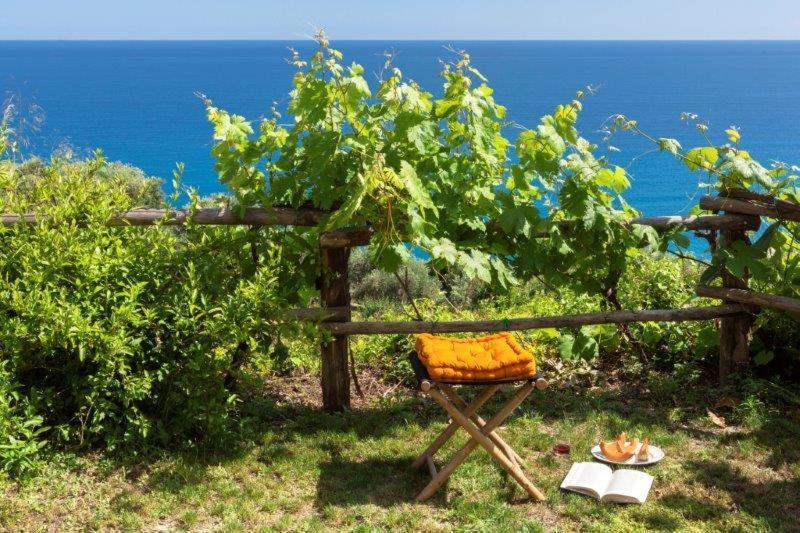 Agriturismo La Selva Hotell Finale Ligure Eksteriør bilde