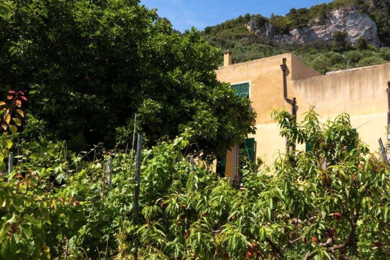 Agriturismo La Selva Hotell Finale Ligure Eksteriør bilde