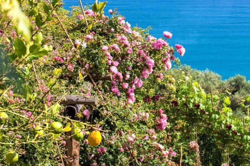 Agriturismo La Selva Hotell Finale Ligure Eksteriør bilde