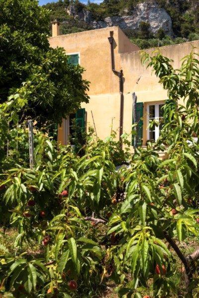 Agriturismo La Selva Hotell Finale Ligure Eksteriør bilde