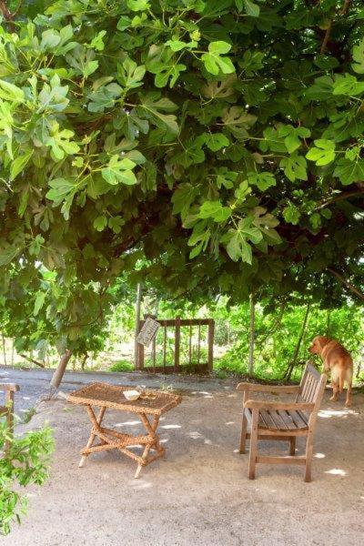 Agriturismo La Selva Hotell Finale Ligure Eksteriør bilde